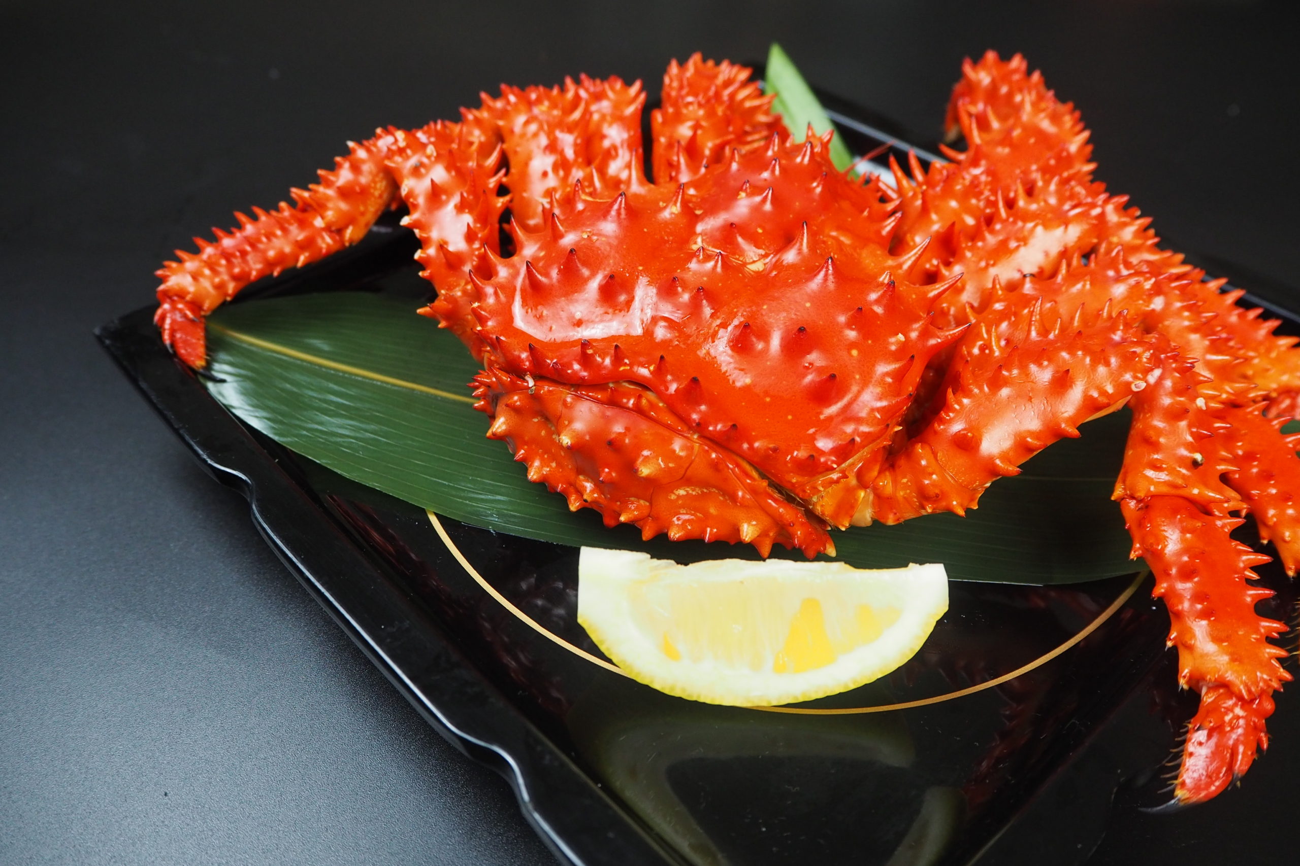 冬の極みプラン